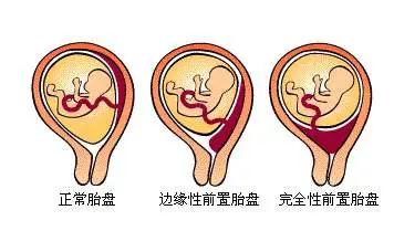 比赛展风采，实战验真金
