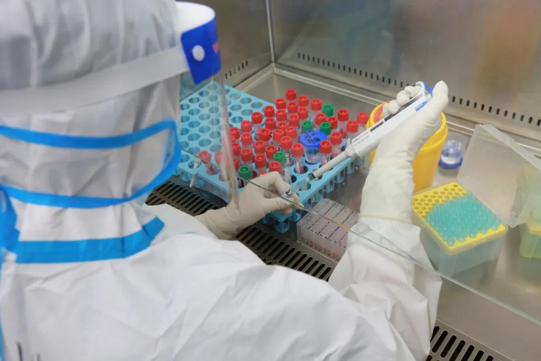 齐都医院核酸检测储备人员开始实操培训