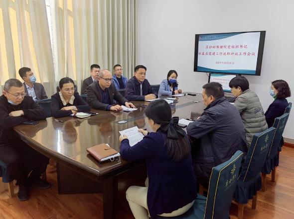 党组织书记抓基层党建工作述职评议会
