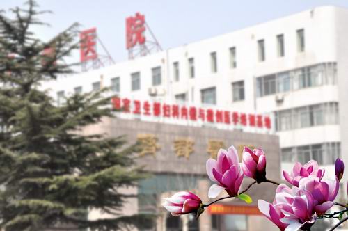 齐都医院院报第五十二期