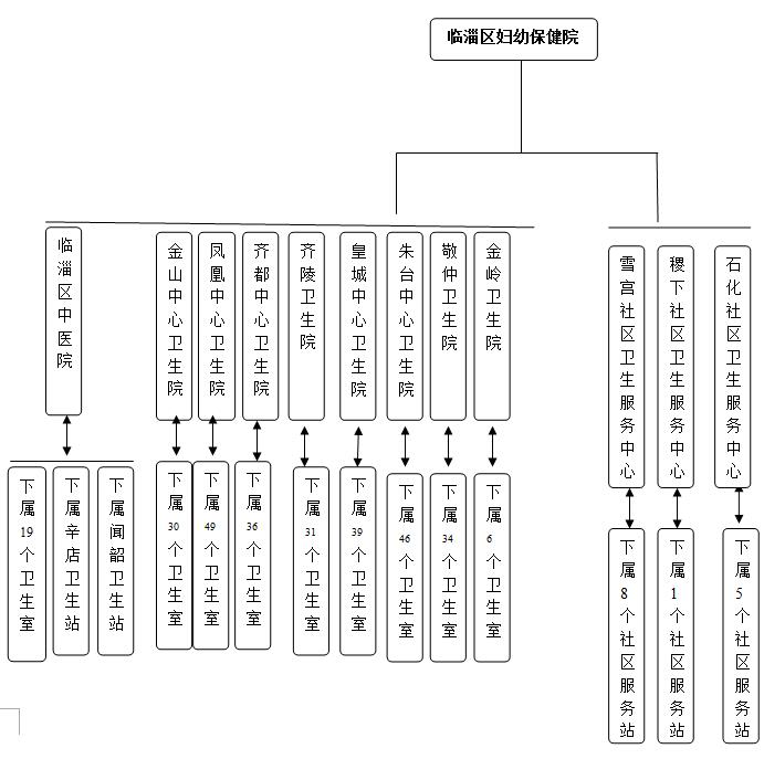 【保健管理】临淄区妇幼健康服务三级网络